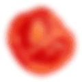 Blurred Tomato